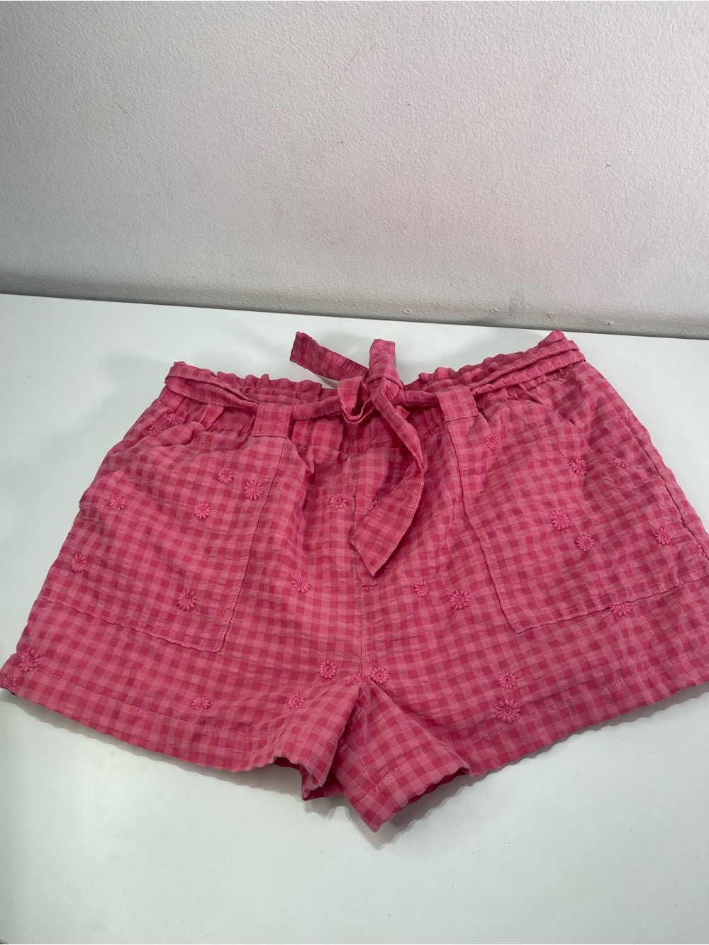 Gingham Shorts Time And Tru Women XXL Pink Embroidered Tie Waist Pockets Summer